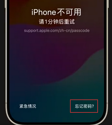 汉川苹果手机密码维修分享iPhone忘记了刚设置的密码 